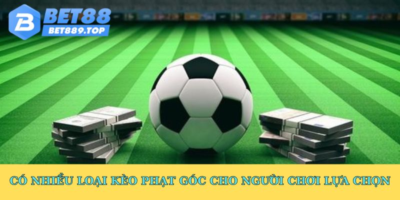 Có nhiều loại kèo phạt góc cho người chơi lựa chọn