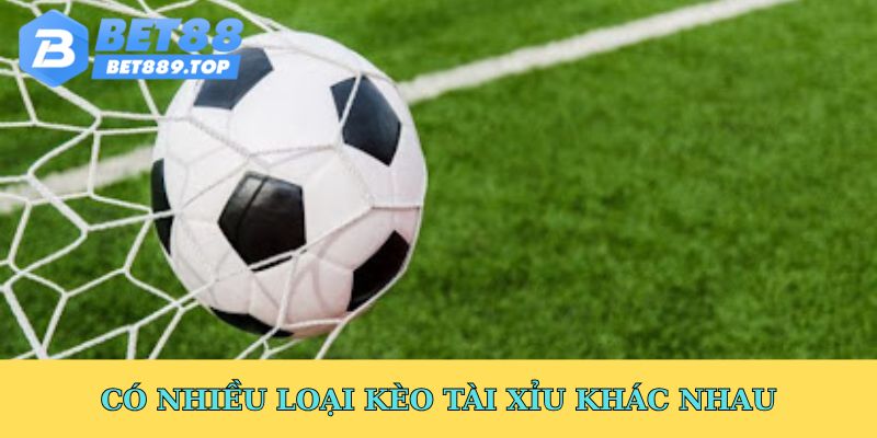 Có nhiều loại kèo tài xỉu khác nhau