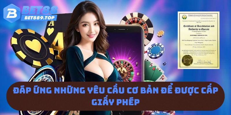 Đáp ứng những yêu cầu cơ bản để được cấp giấy phép 