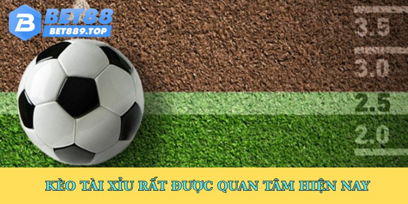 Kèo tài xỉu rất được quan tâm hiện nay