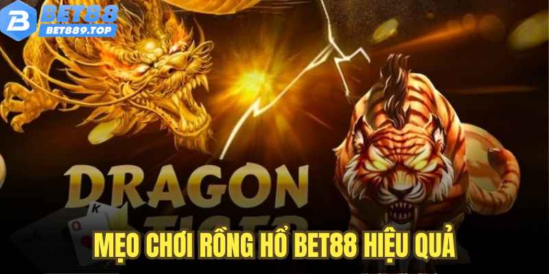 Các Mẹo Hay Từ Cao Thủ Giúp Bạn Chơi Rồng Hổ BET88 Hiệu Quả